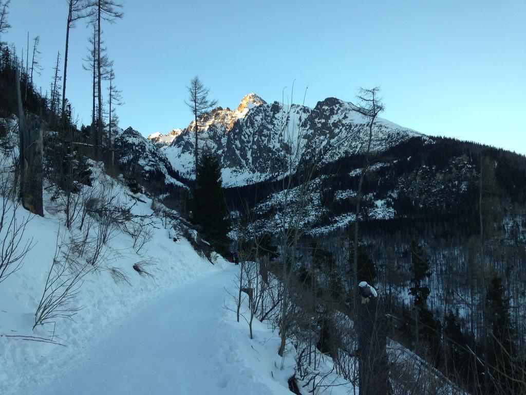 Studio A105 Stary Smokovec Hrebienok Vysoké Tatry Exteriör bild